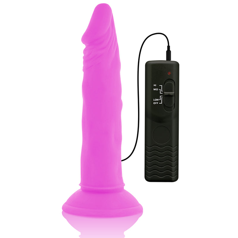 DIVERSIA FLEXiVEL VIBRACaO VIBRANTE 23 CM ROXO