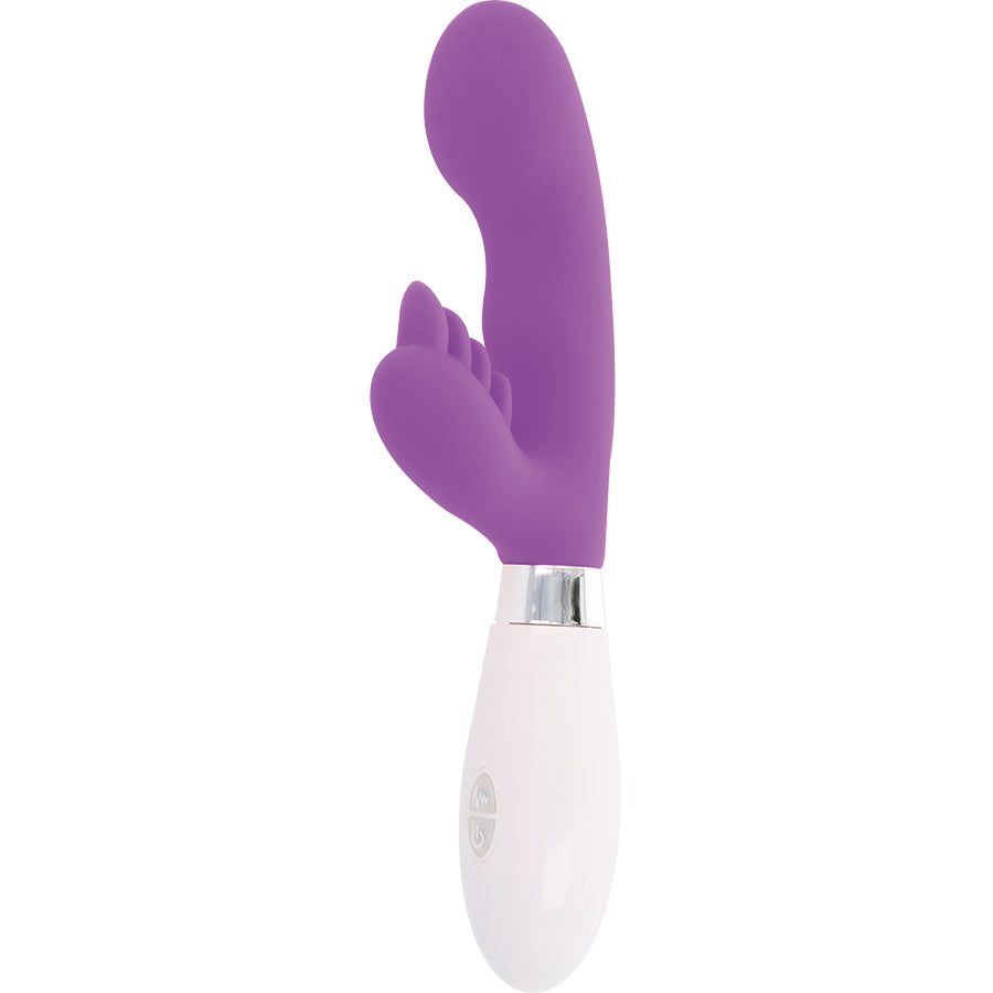 GLOSSY COELHO ELVIS ROXO