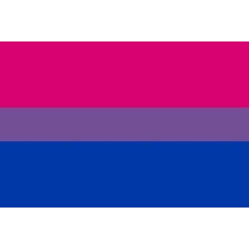 ORGULHO BANDEIRA BISEXUAL PULSEIRA 90 X 150