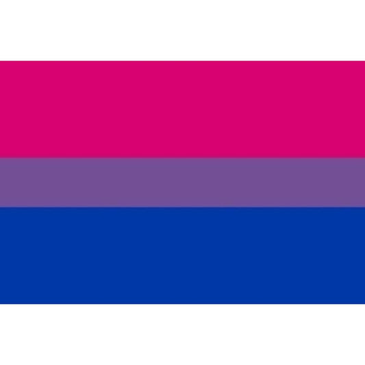 ORGULHO BANDEIRA BISEXUAL PULSEIRA 90 X 150