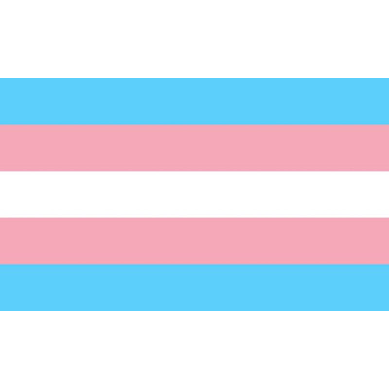 ORGULHO BANDEIRA TRANSEXUAL 90 X 150