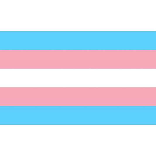 ORGULHO BANDEIRA TRANSEXUAL 90 X 150