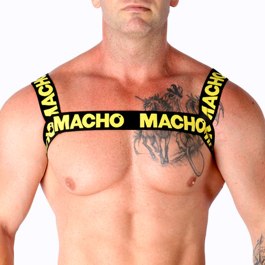 MACHO ARNeS DUPLO AMARELO